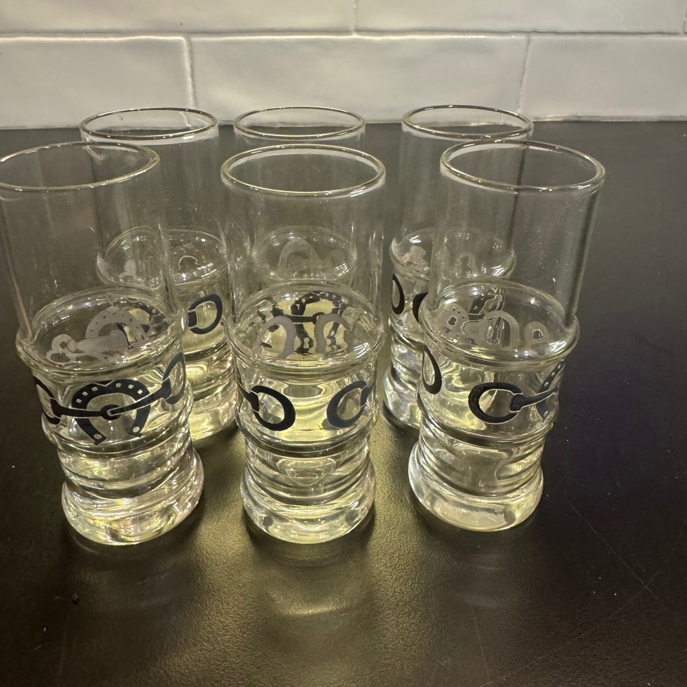Shot Glass Set of 6 Clear Silver Equestrian Horseshoe Bit Tall Barware